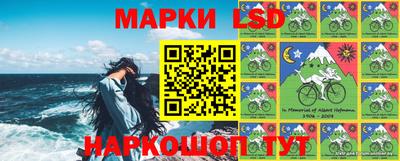 гидропоника Будённовск