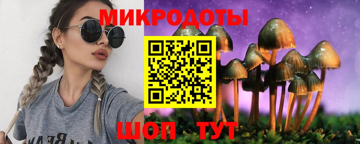 Саров  Галлюциногенные грибы Psilocybine cubensis  Вход с VPN 